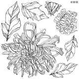 IOD Decor Stamp Chrysanthemums 12x12" by Iron Orchid Designs