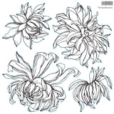 IOD Decor Stamp Chrysanthemums 12x12" by Iron Orchid Designs