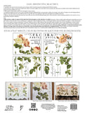 IOD Decor Transfer Flora Parisiensis 12" X 16" Pad by Iron Orchid Designs