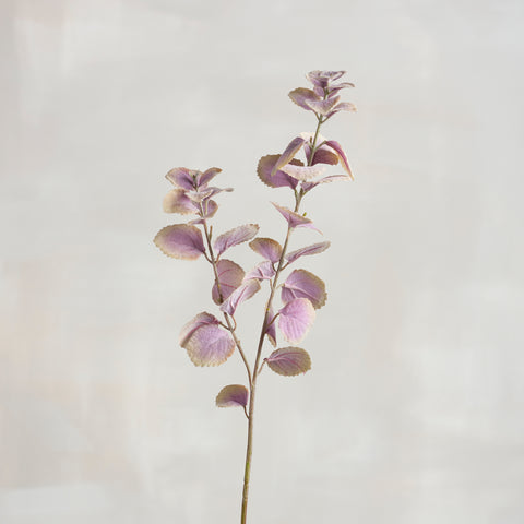 Floral Pick Purple Patchouli #100-1361