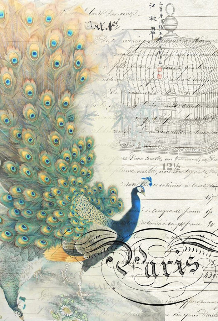 Decoupage Craft Paper by Roycycled Papers Peacock Ephemera Left