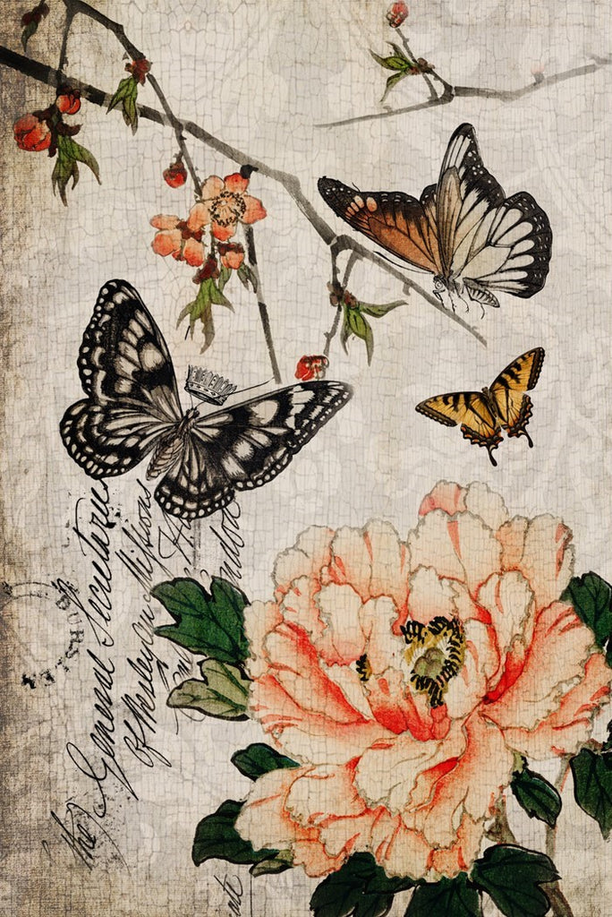 Butterfly Floral Collage Print