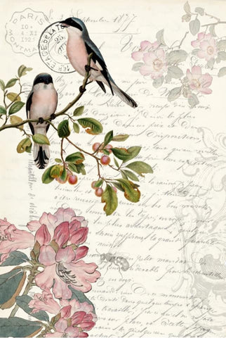 Decoupage Craft Paper by Roycycled Papers Spring Bird